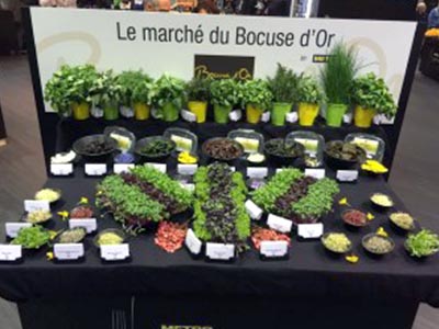Le Marché du Bocuse d'Or - Frederic Jaunault MOF Primeur Fruits Legumes