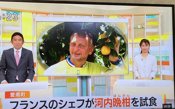 tv japonaise