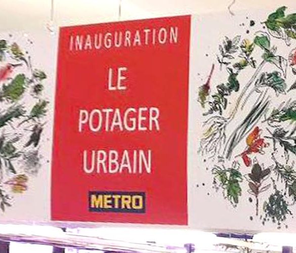 Header Inauguration Le Potager Urbain - Frederic Jaunault Fruits Légumes