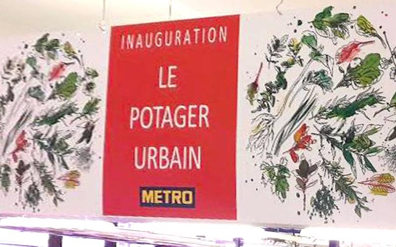 Header Inauguration Le Potager Urbain - Frederic Jaunault Fruits Légumes